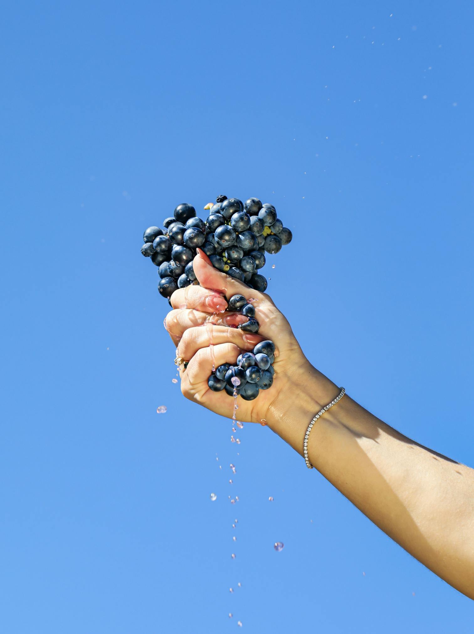 Background Image of Grapes being squeezed